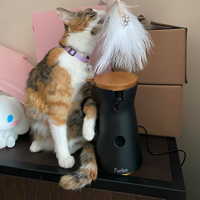 Never Miss A Purr: Furbo 360° Rotating Camera And Treat Dispenser - Stay Connected To Your Furry Friend Anytime, Anywhere