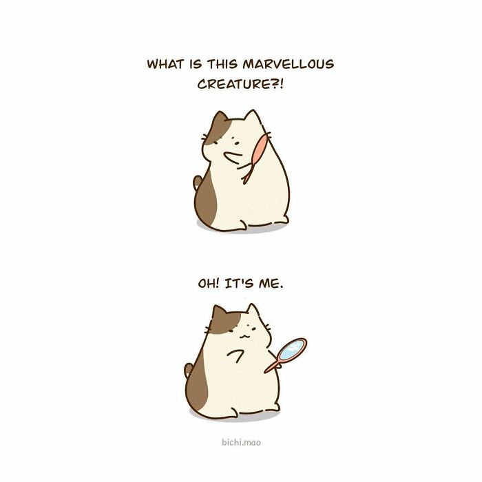 Bichi Mao's Cute Comics (New Pics)