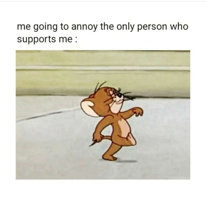 Hilarious-Sarcasm-Memes