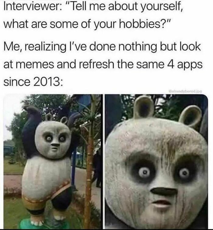 Introvert-Mojo-Memes