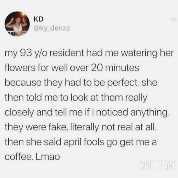 Wholesome-Meets-Internet