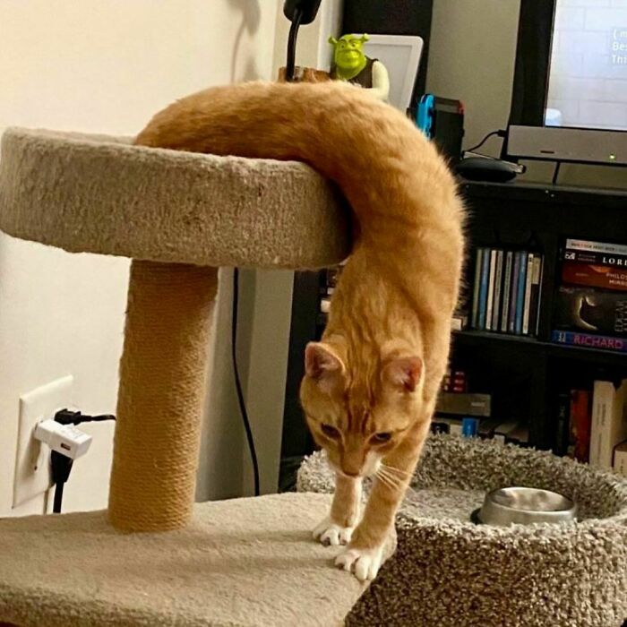 It’s Giving Slinky