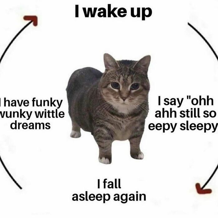 My Schedule Is Packed