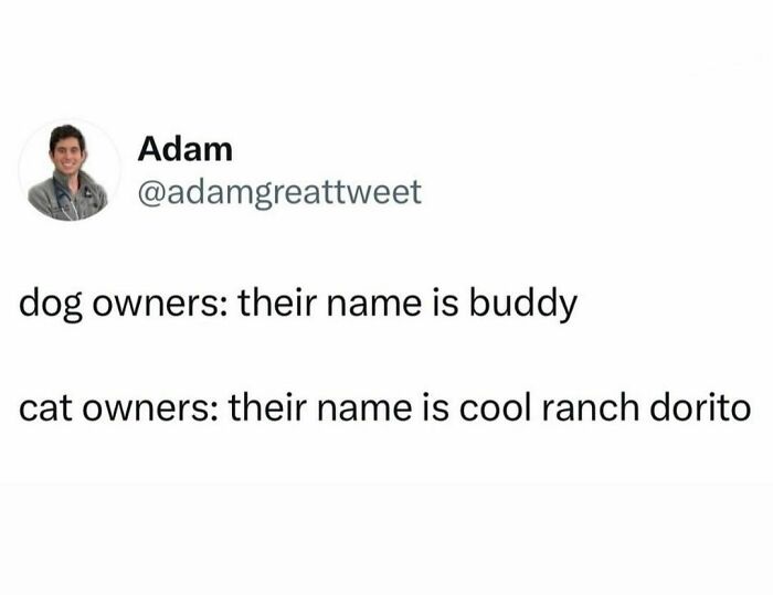 Does Your Cat Have More Than One Name?