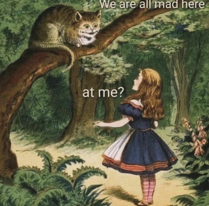 Alice, Get It Together