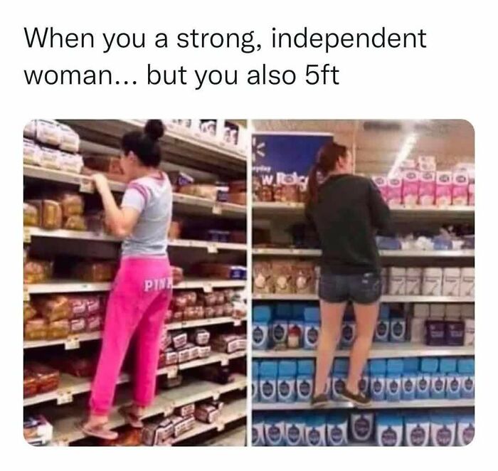 Hilarious-Sarcasm-Memes