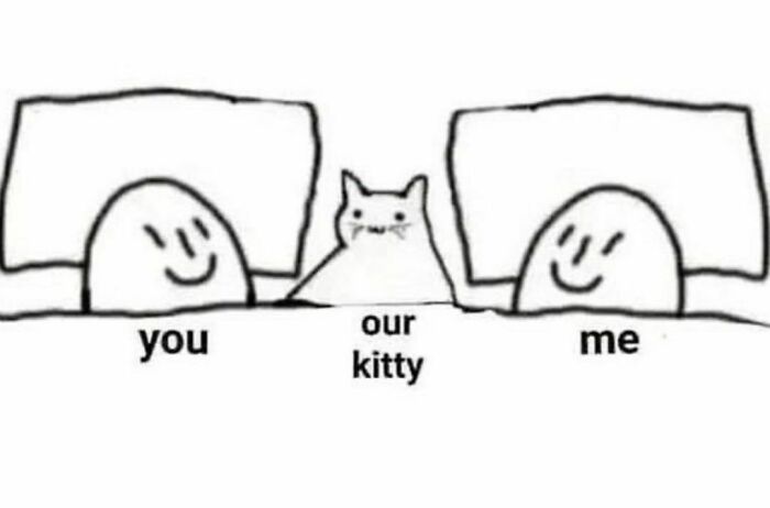 Best-Funny-Cat-Memes-Jokes