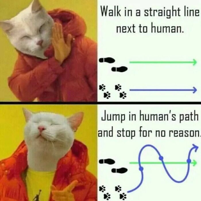 It Just Makes 🐾sense🐾