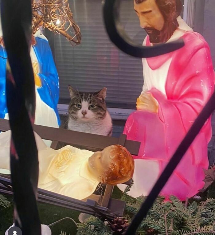 Plotting On How To Get That Baby 👶 Out And Himself In To That Manger Thing