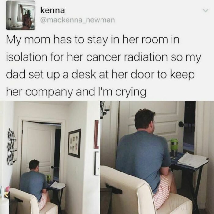 Wholesome-Meets-Internet