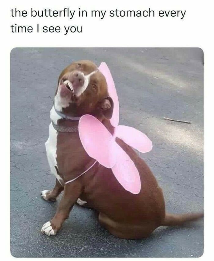 Hilarious-Sarcasm-Memes