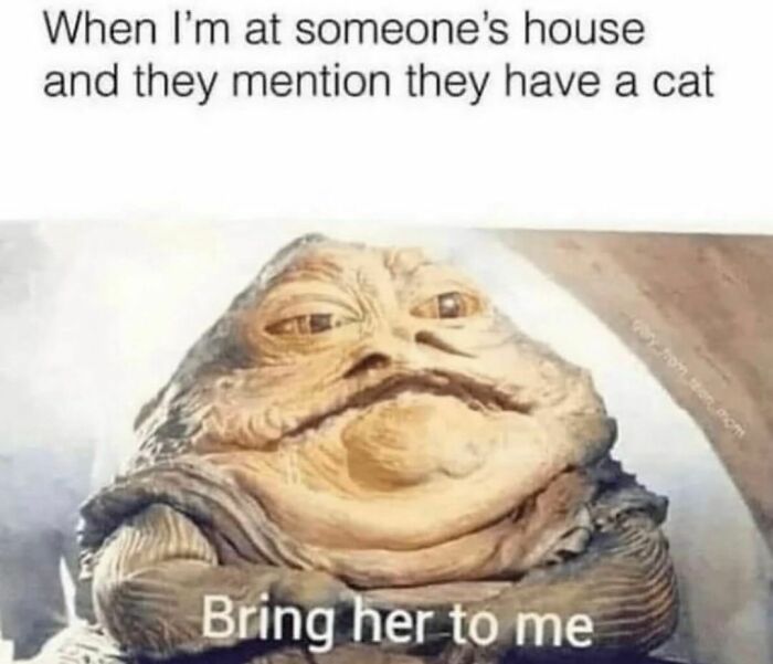 A Long Time Ago In A Galaxy Furr Furr Away