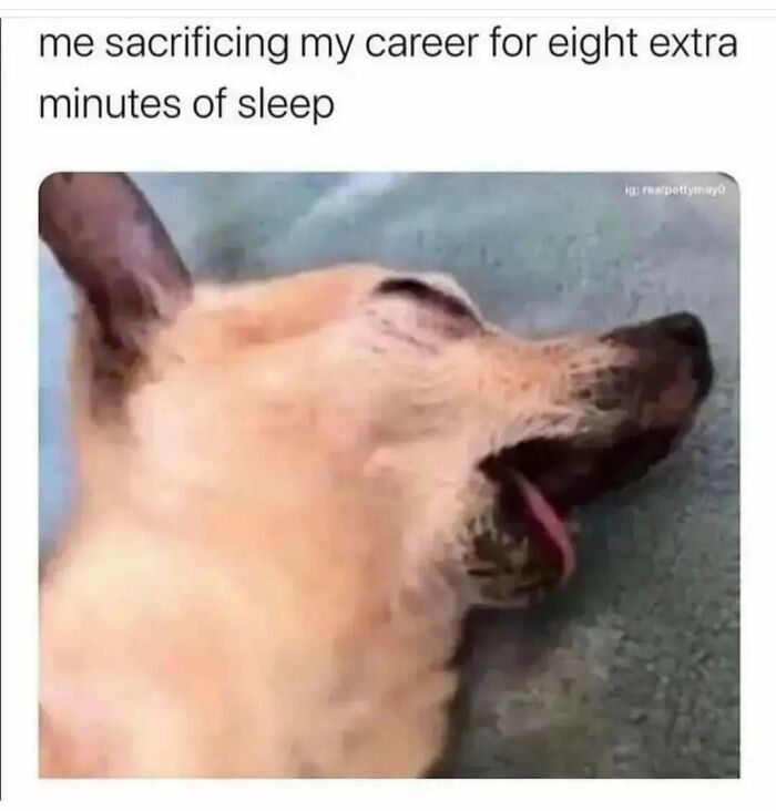 Hilarious-Sarcasm-Memes