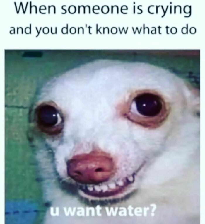 Hilarious-Sarcasm-Memes