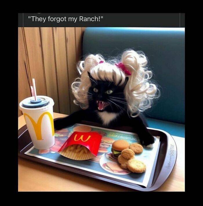 At Least You Got The Fries, Girl