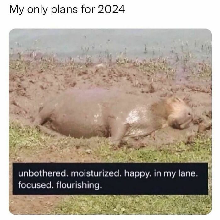 Funny-Relatable-Animal-Memes