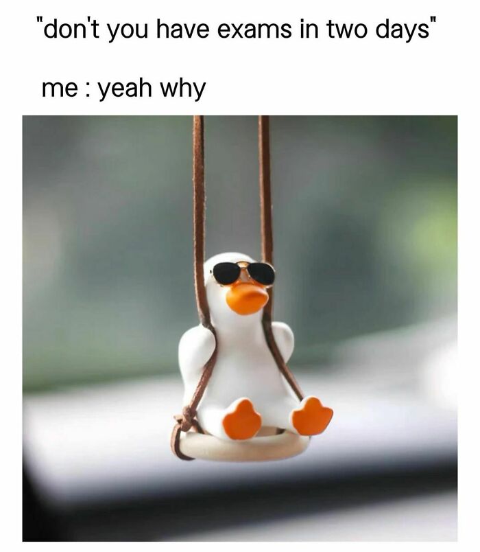 Hilarious-Sarcasm-Memes