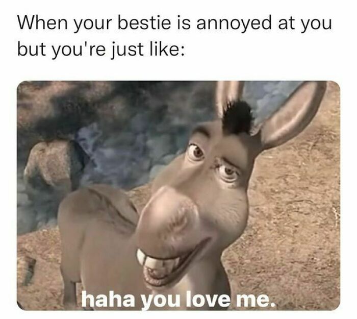 Hilarious-Sarcasm-Memes