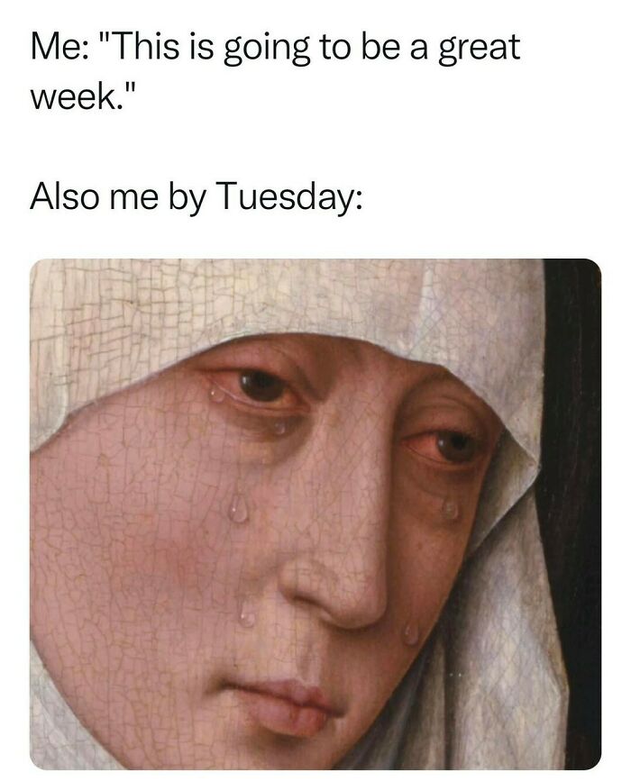 Hilarious-Sarcasm-Memes