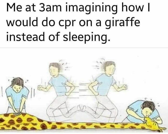 Funny-Relatable-Animal-Memes