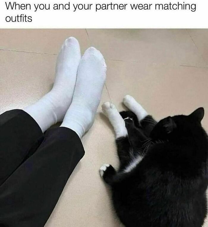 Funny-Relatable-Animal-Memes