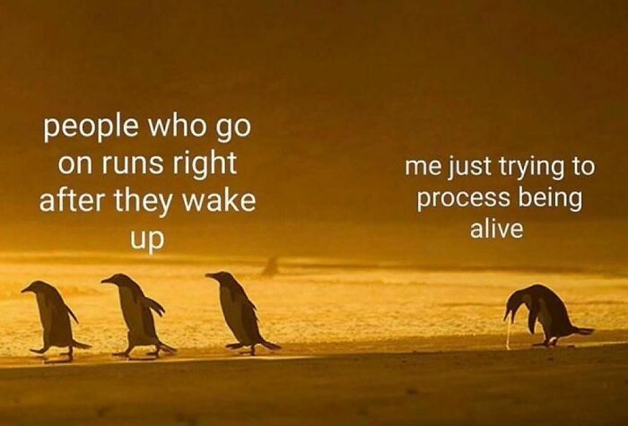 Freud-Intensifies-Funny-Memes