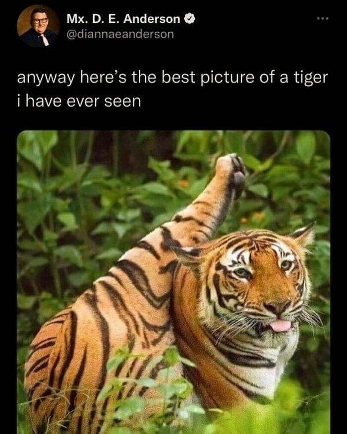 Funny-Relatable-Animal-Memes