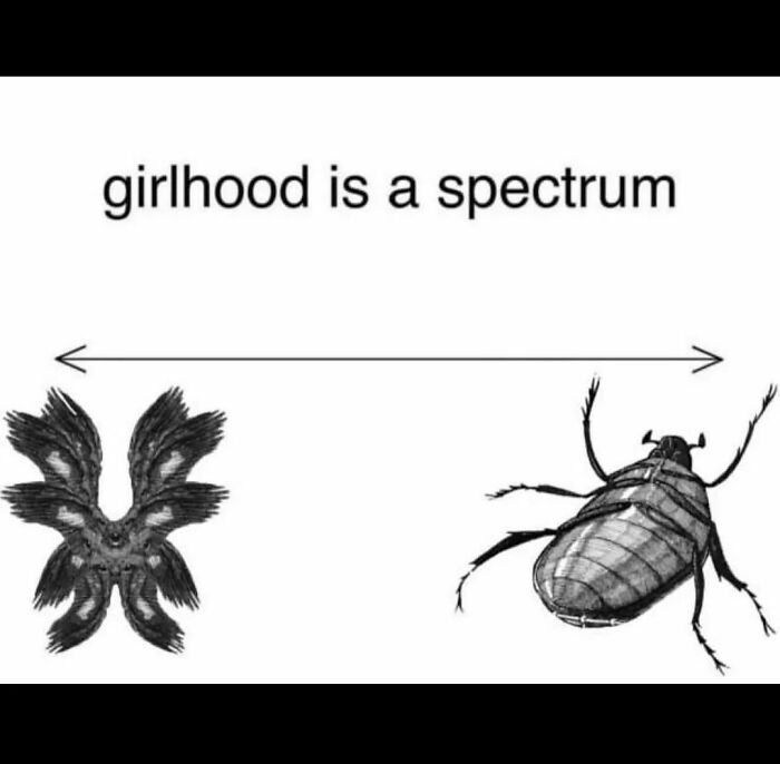 Freud-Intensifies-Funny-Memes