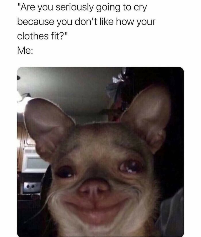 Hilarious-Sarcasm-Memes