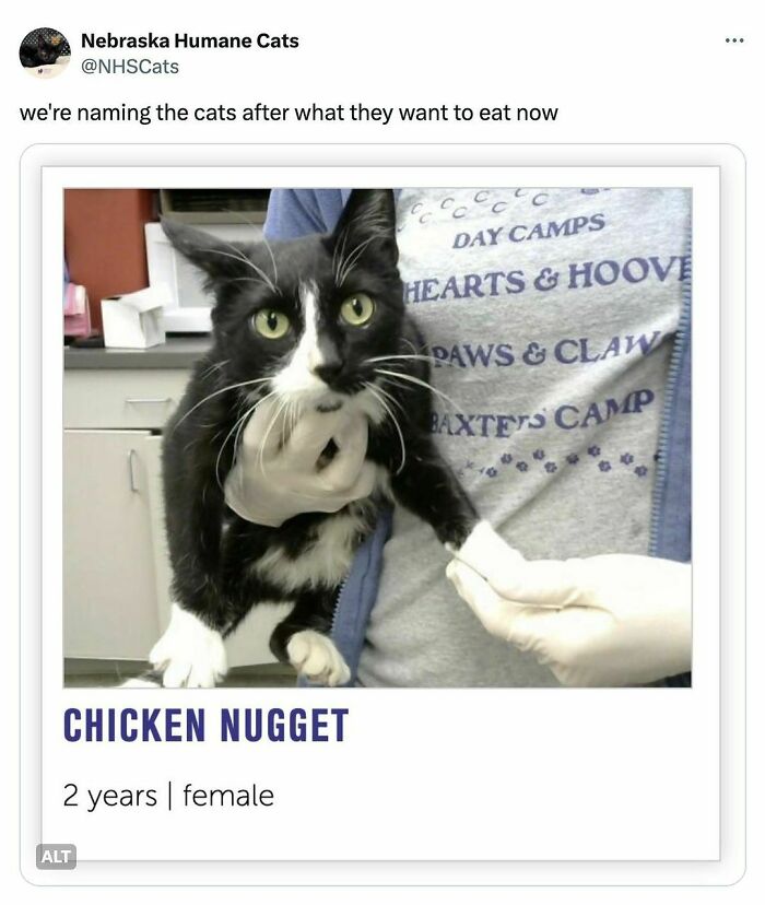 ..and After What *i* Want To Eat