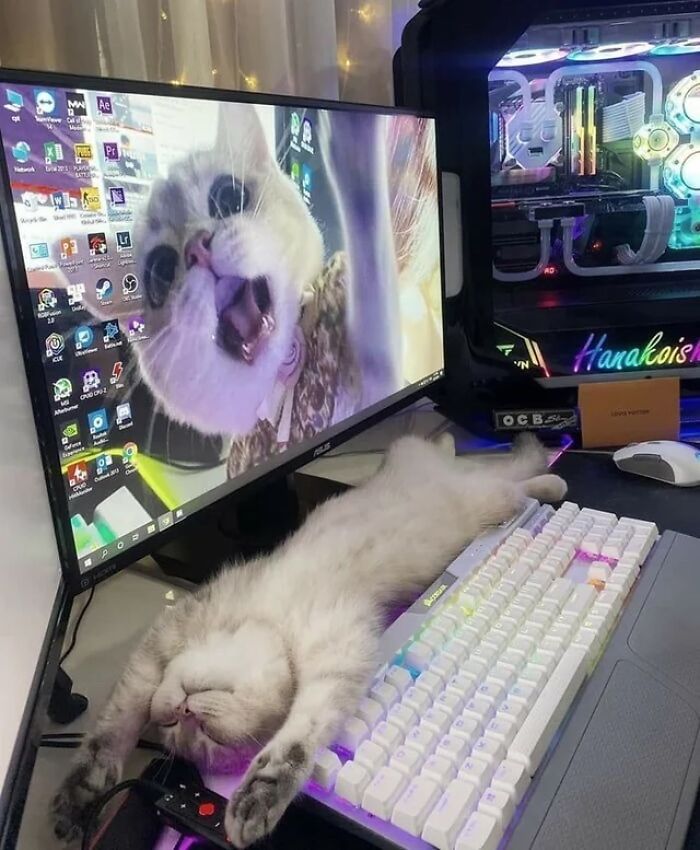 Ya casi es fin de semana