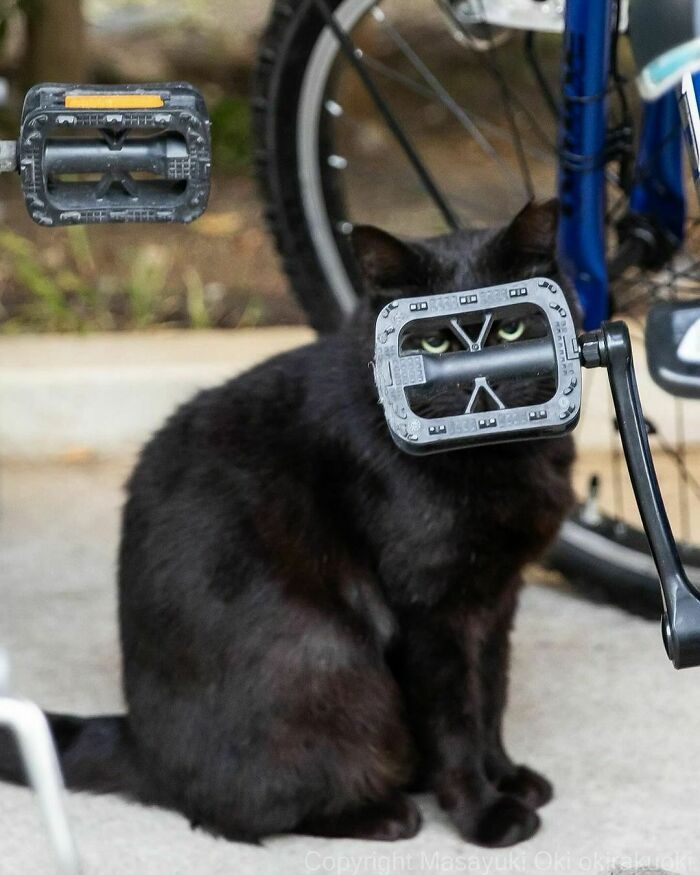 Working My Way Up To Getting On The Bike