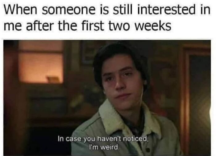 Introvert-Mojo-Memes