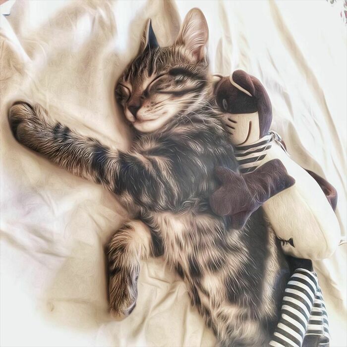 Woman-Documents-Italian-Cat-Daily-Life