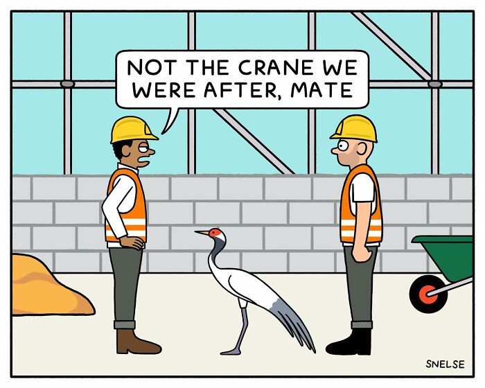 Random And Funny Comics By Snelse