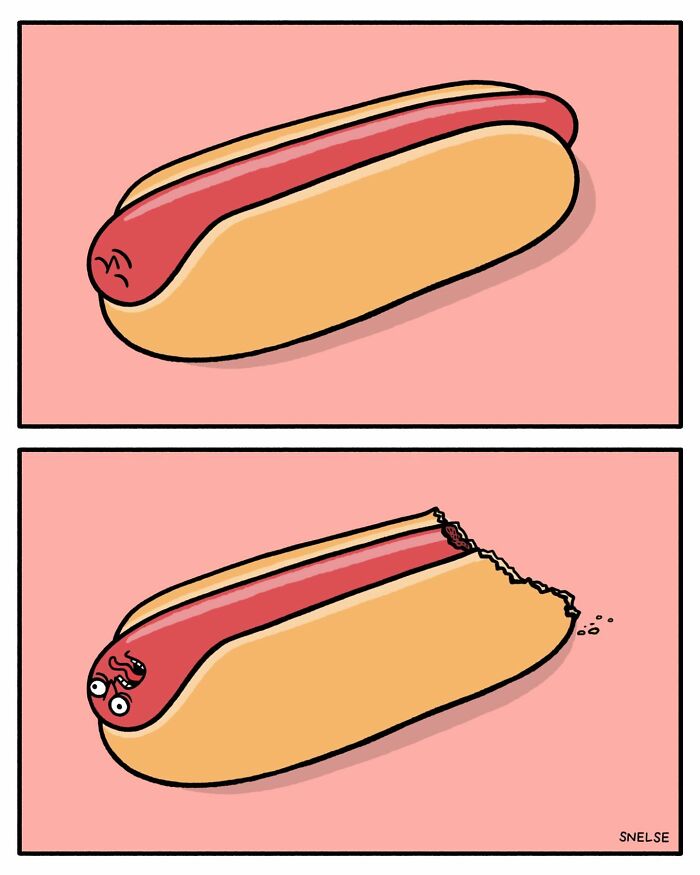 Random And Funny Comics By Snelse