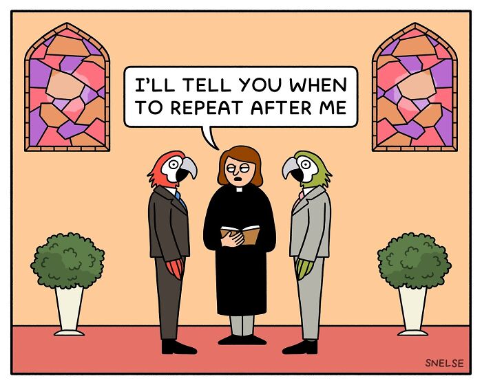 Random And Funny Comics By Snelse