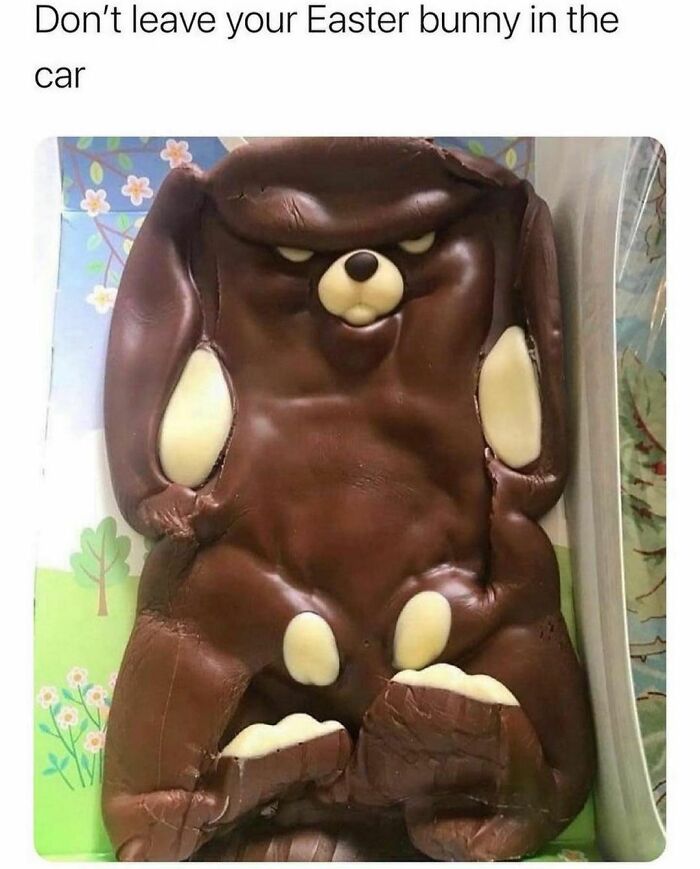 Funny-Relatable-Animal-Memes