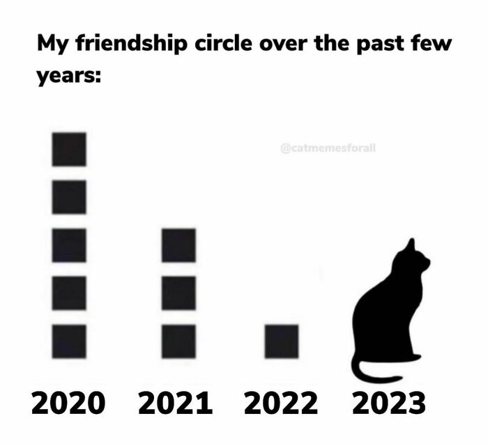 Best-Funny-Cat-Memes-Jokes