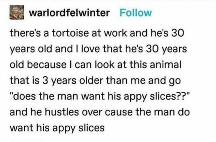 Funny-Random-Memes-Ship-Instagram