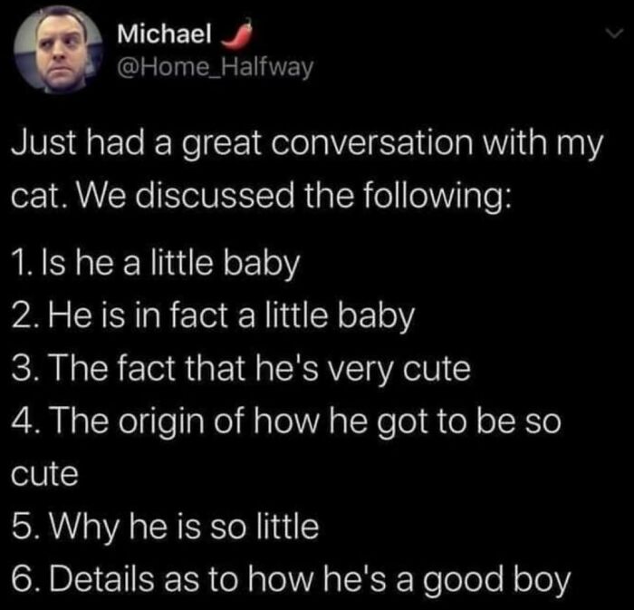 Best-Funny-Cat-Memes-Jokes