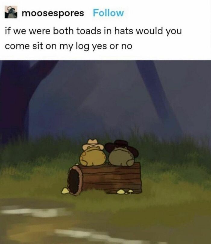 Funny-Random-Memes-Ship-Instagram