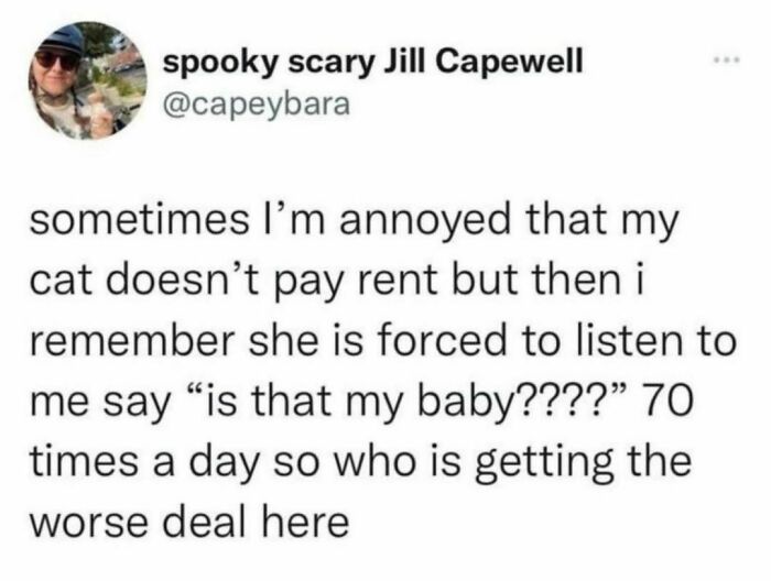 Best-Funny-Cat-Memes-Jokes