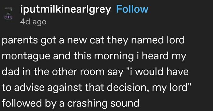 Funny-Random-Memes-Ship-Instagram