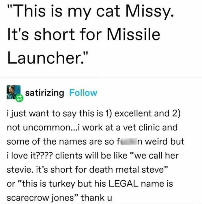 Best-Funny-Cat-Memes-Jokes