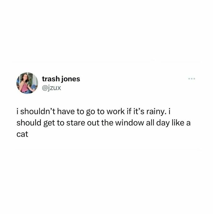 I’m Once Again Begging The Universe To Treat Me The Way I Treat My Cat