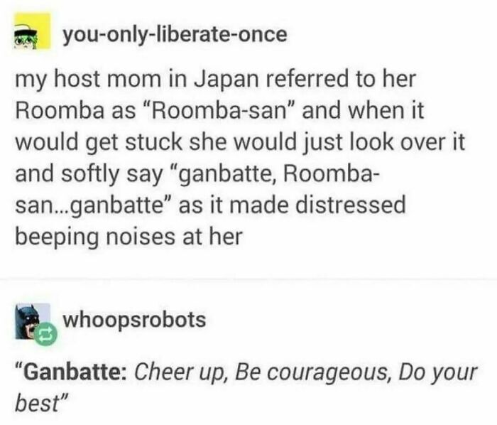 Funny-Random-Memes-Ship-Instagram