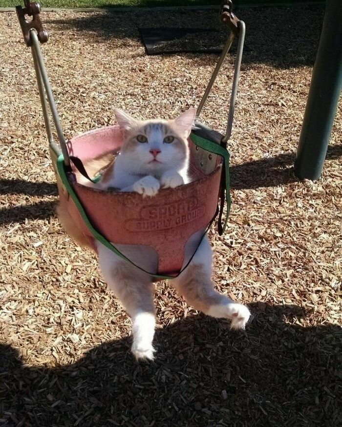 I Wanna Push You Around. Well, I Will, Well, I Willllllllll