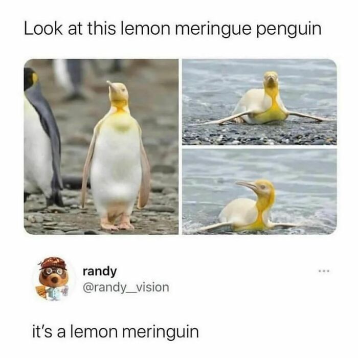 Wholesome-Meets-Internet