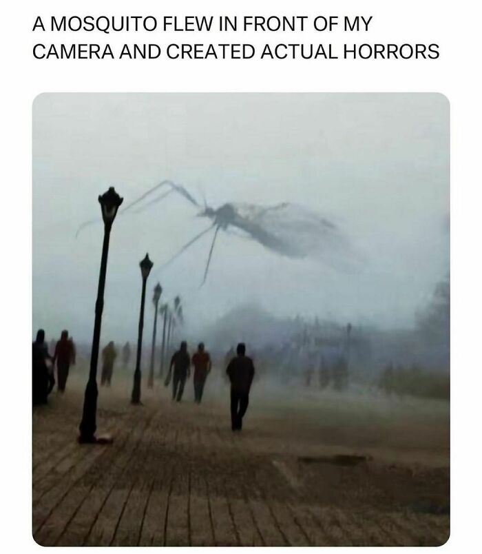 Funny-Relatable-Animal-Memes